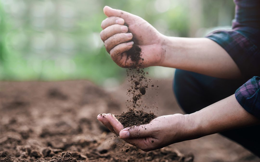 Funding a fifth agricultural revolution