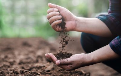 Funding a fifth agricultural revolution