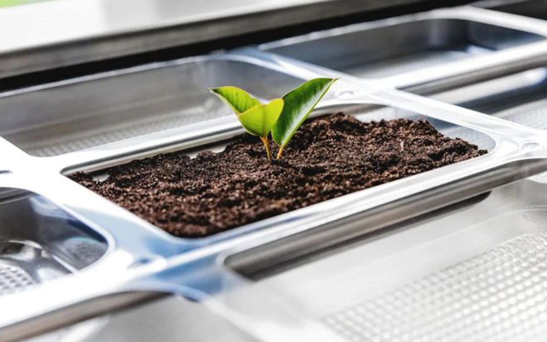 Flex/Flex Packaging: A Genuine Step Towards Sustainability