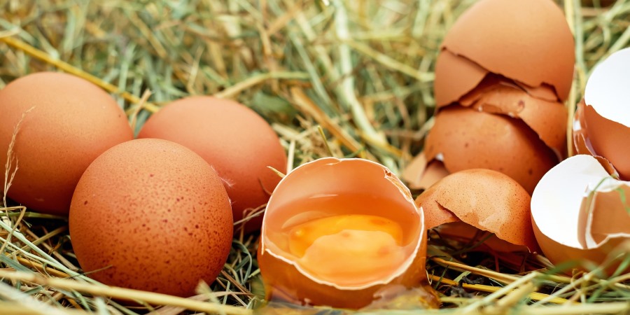 Four additional products withdrawn over Fipronil