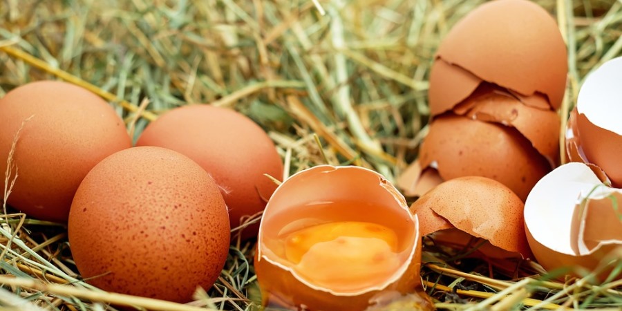 Changes to the EU Egg Marketing Regulations