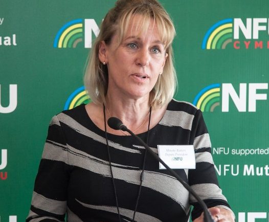NFU responds to the Environment, Food and Rural Affairs Committee (EFRA) Report