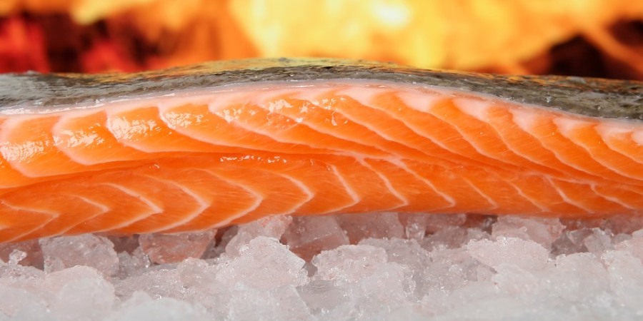 Chilled fish grows ahead of overall grocery market
