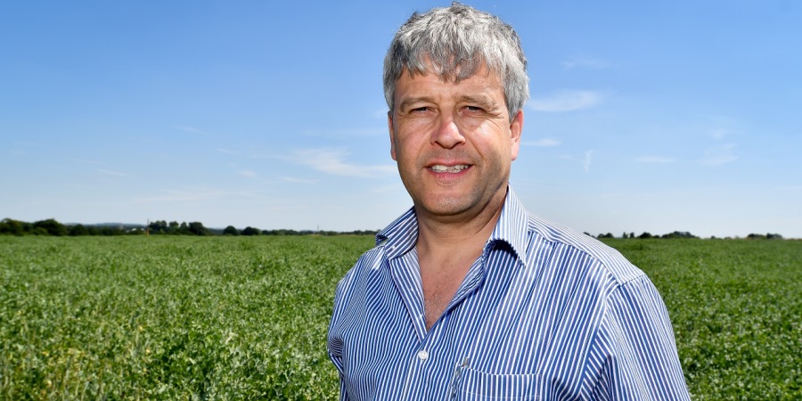 Organic sector calls for clearer Brexit