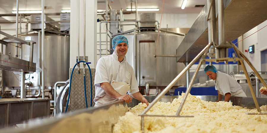Wensleydale cheese to increase production following £17.9 million deal