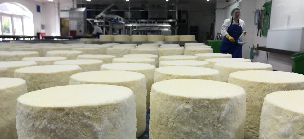 Specialist cheese makers take action to survive
