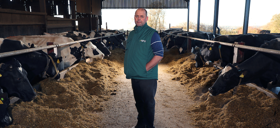 Government announces new Dairy Export Programme