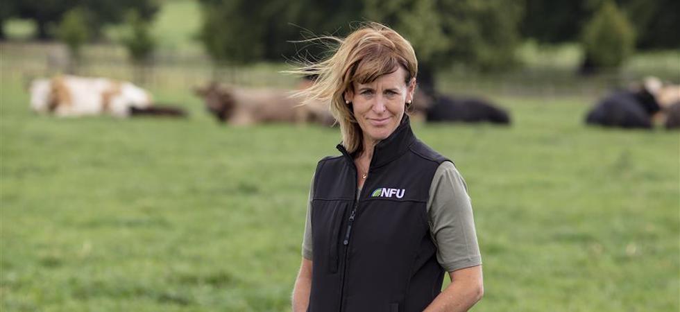 British farming to reach 10% of primary schools through NFU live lessons