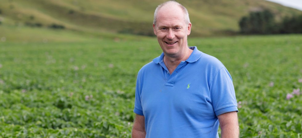 Improved standards for British seed potato exports