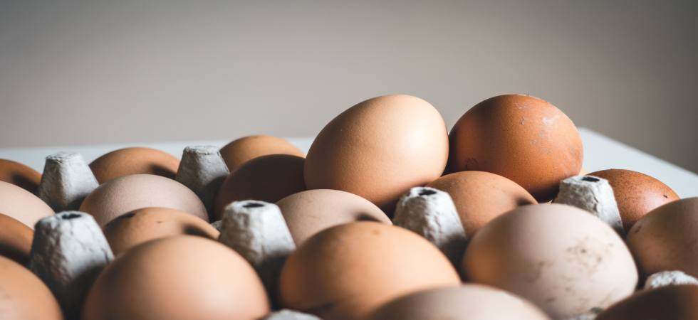 Quarter of British egg producers face uncertainty, says NFU
