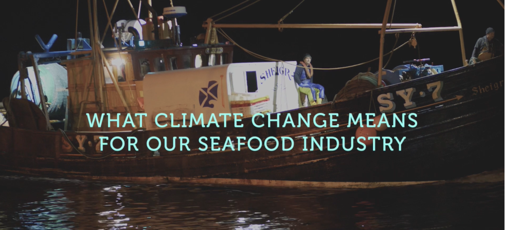 Seafood body launches climate-awareness campaign ahead of UN conference