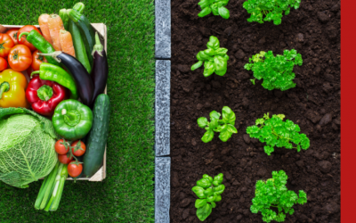 Driving better health outcomes through innovations in food production