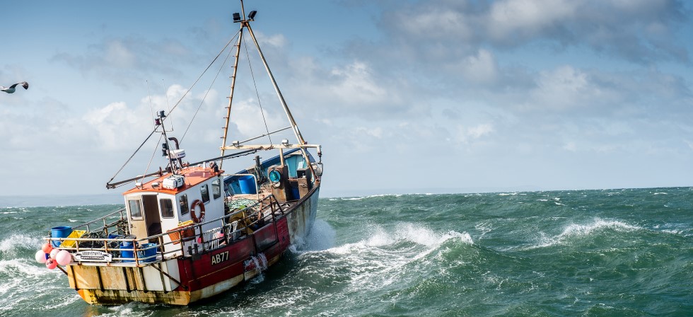 £1 million funding made available for Welsh seafood industry