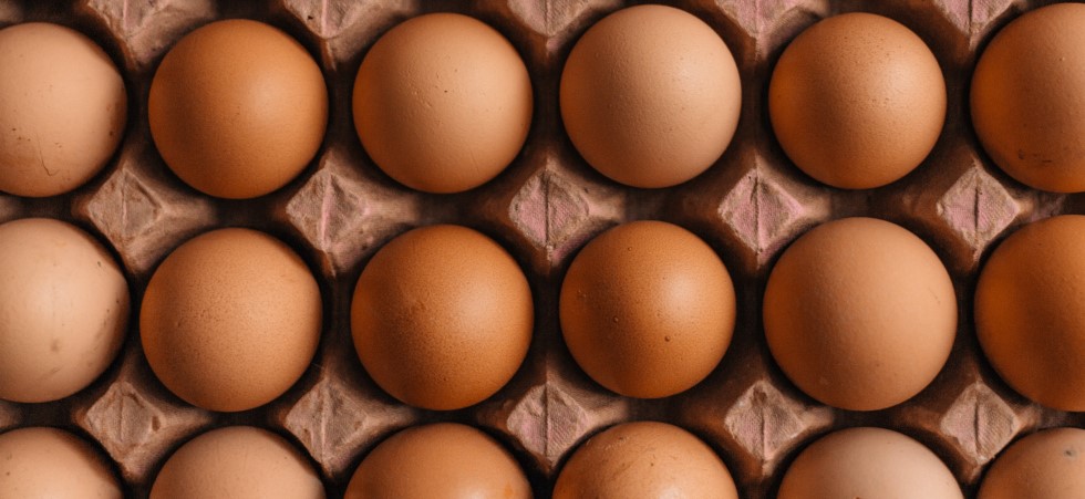 Defra announces egg labelling proposal to remove derogation period