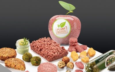 Versatile solutions for alternative protein production