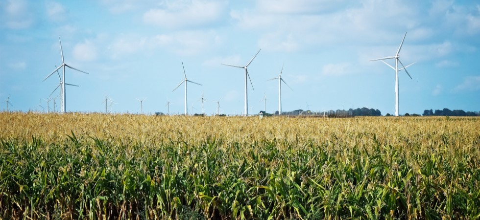 APPG to hold inquiry into the food supply chain