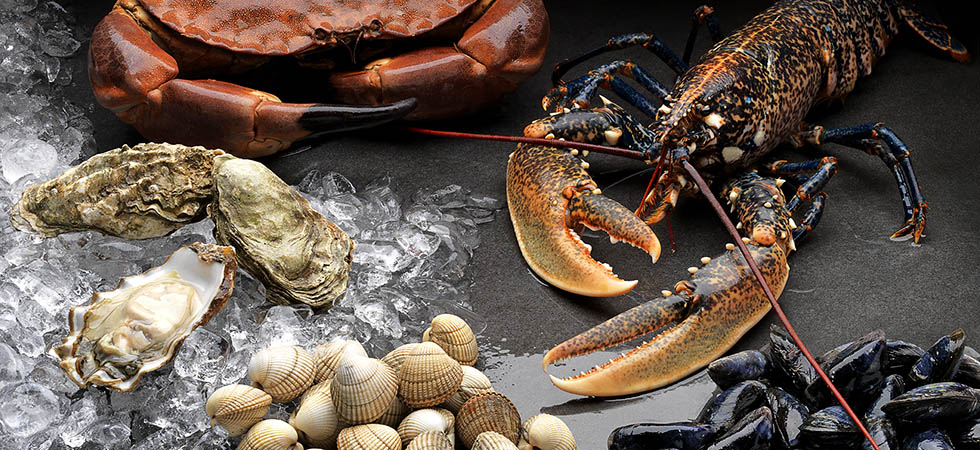 Seafood on show in Barcelona