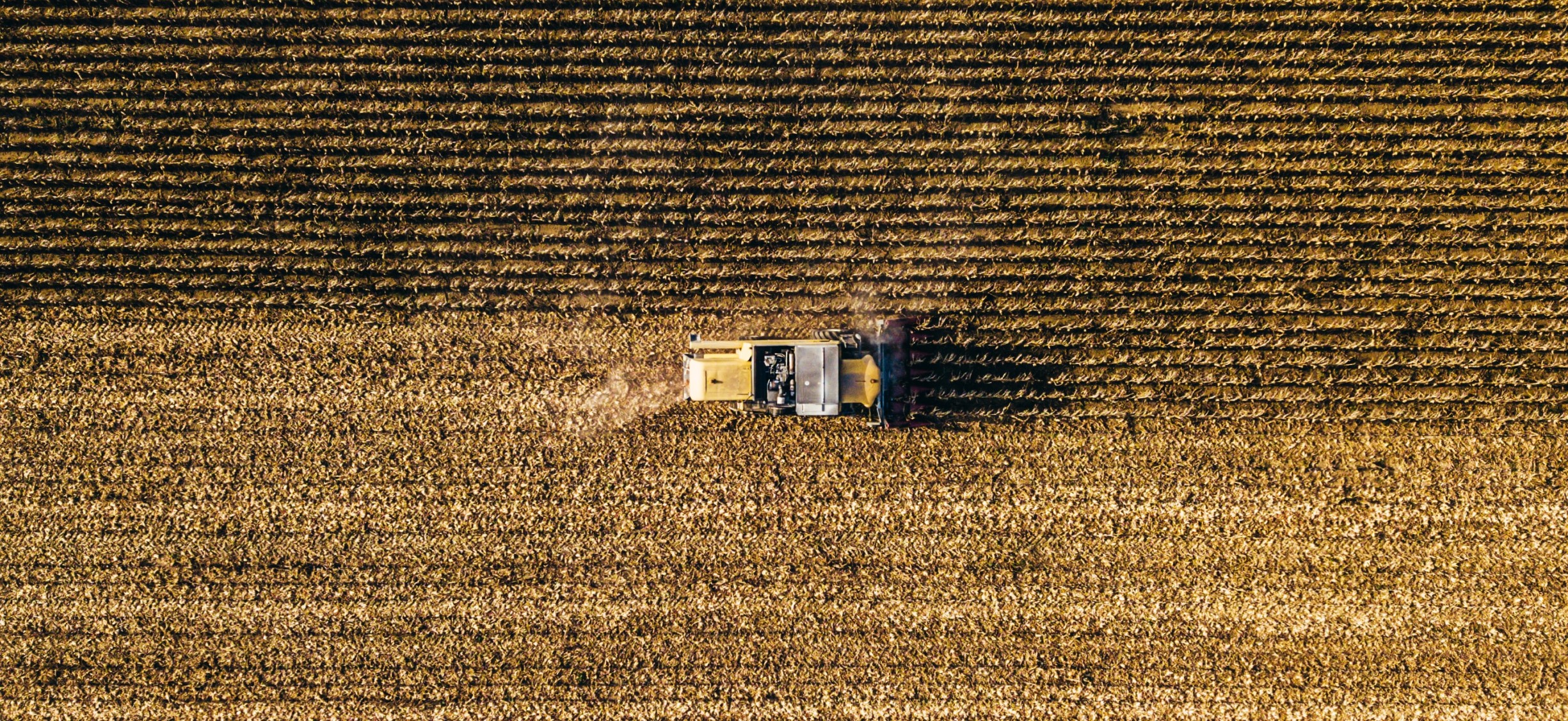 combine harvester in a field.