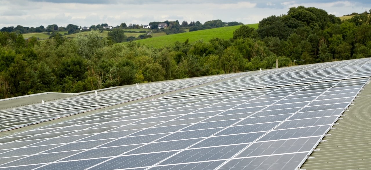 Solar panels on the roof of the Finnebrogue plant-based factory, with trees pictured in the distance.