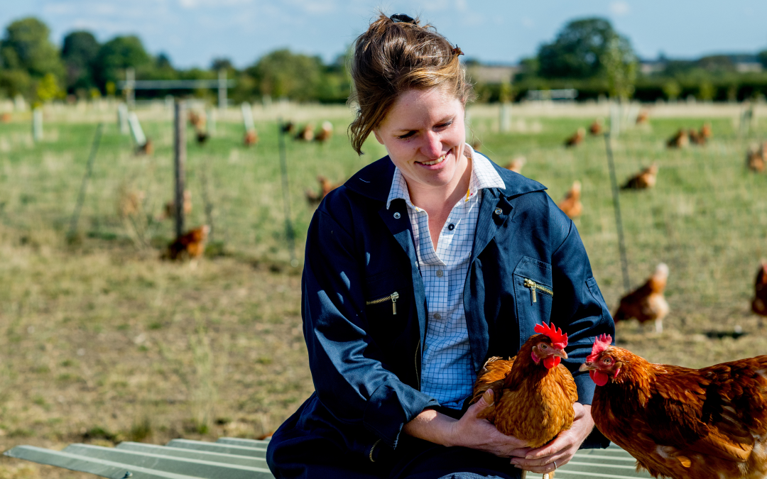 Tesco and Harper Adams University create new sustainable agriculture course