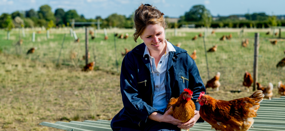 Tesco And Harper Adams University Create New Sustainable Agriculture 