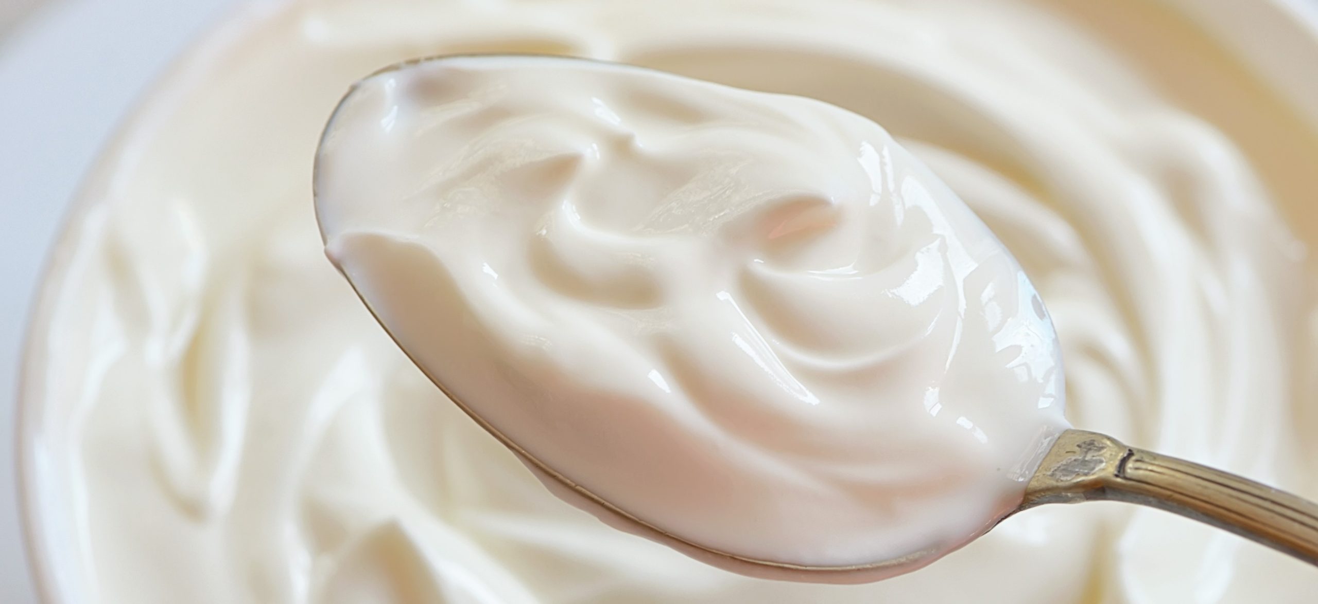 yogurt bowl with spoon – Copy