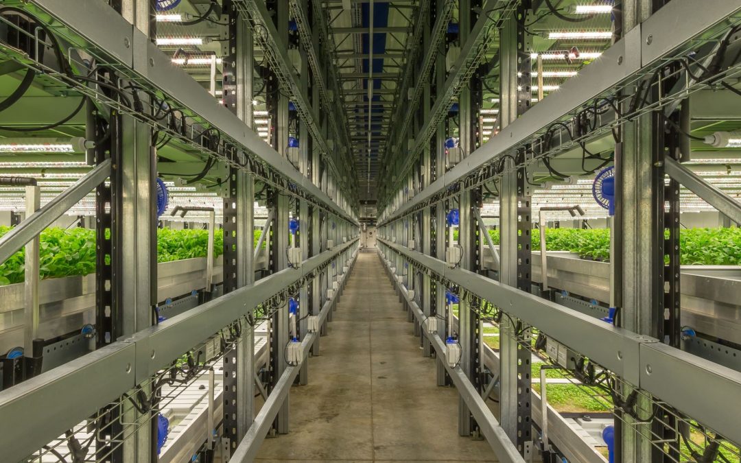 Construction of “world’s biggest” vertical farm completed in Norfolk
