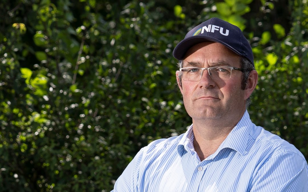 New SMETA audits could have “financially damaging impact” says NFU