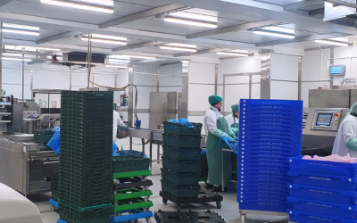 Lossie Seafoods becomes latest UK seafood company to expand capacity