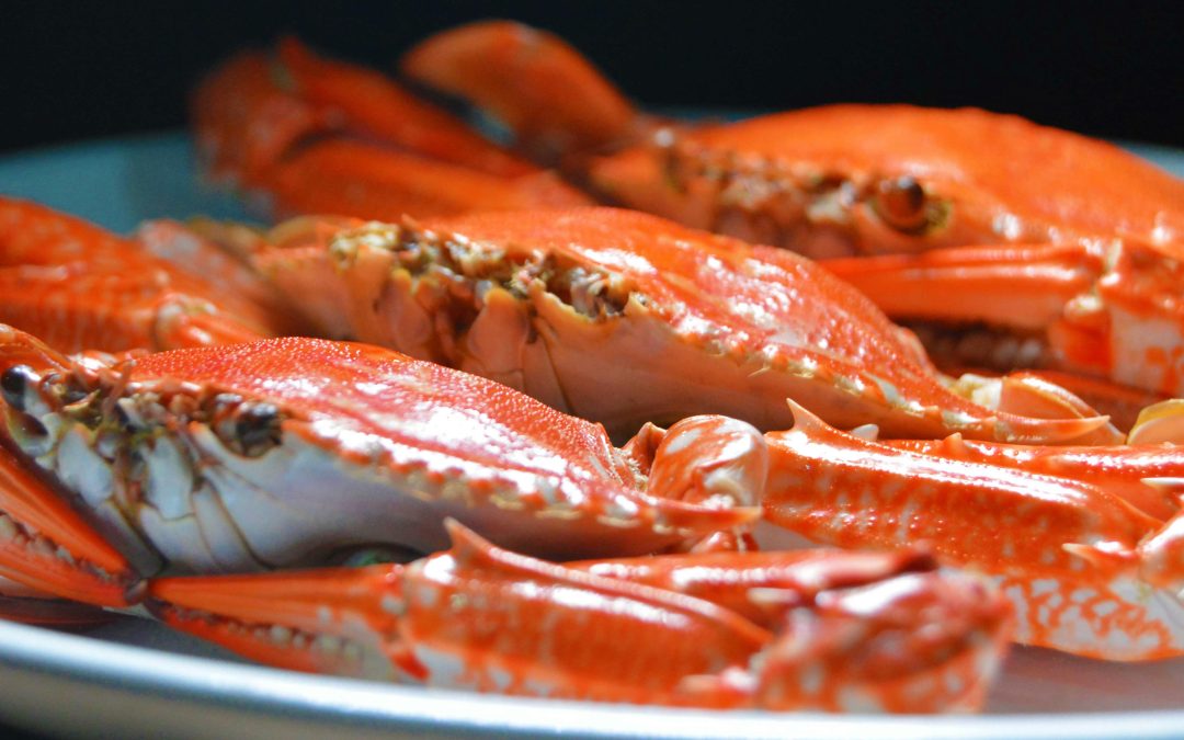 Crustacean Compassion calls on retailers to stop selling live crab