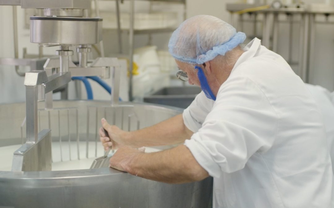 Employee satisfaction higher than average in Welsh food sector