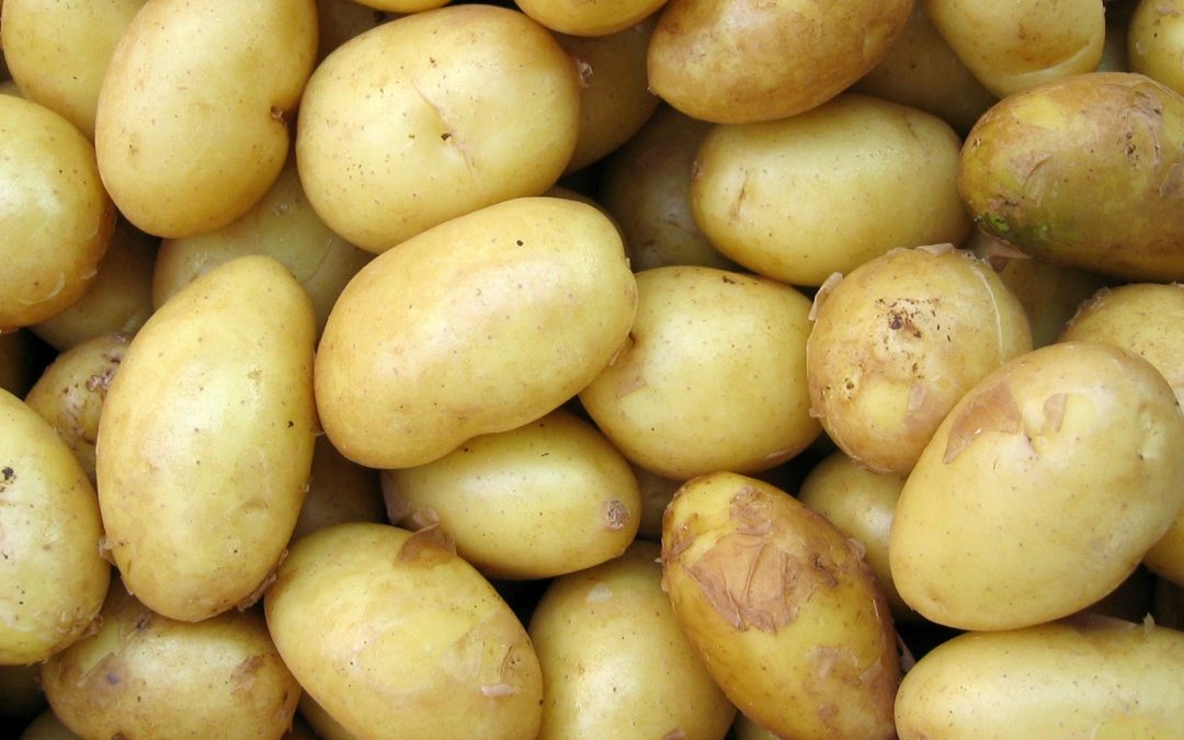 AHDB and GB Potatoes sign agreement