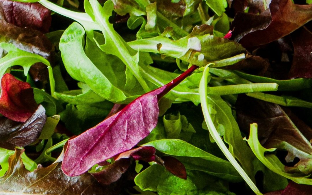 UKHSA narrows down E.coli outbreak to salad leaves