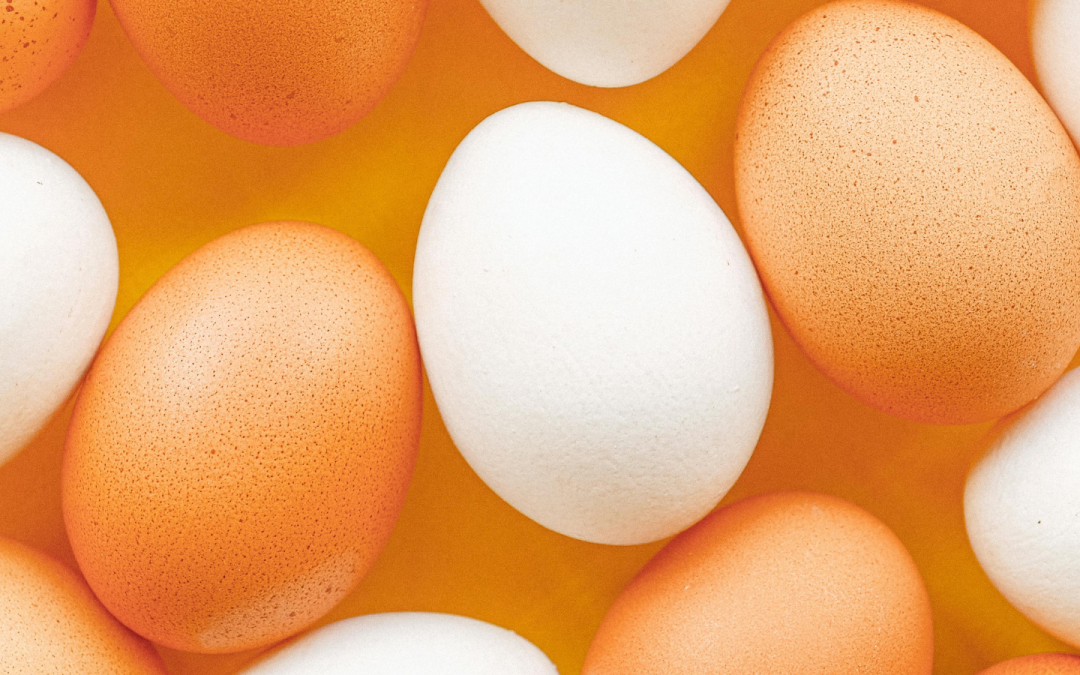 Sainsbury’s forms Egg Group to “protect supply”