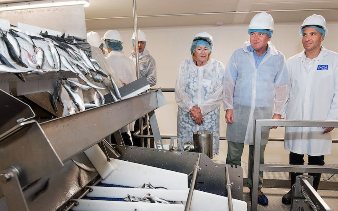 Morrisons supplier invests £12.8m into fish freezing facility