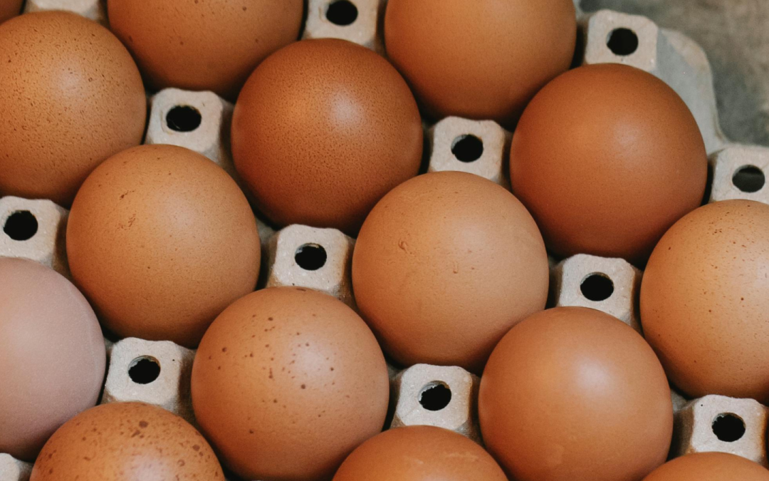 Defra changes egg labelling legislation to “cut costs” for producers