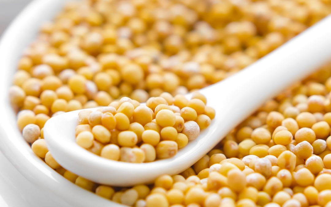 66 products recalled as part of FSA investigation into mustard contamination