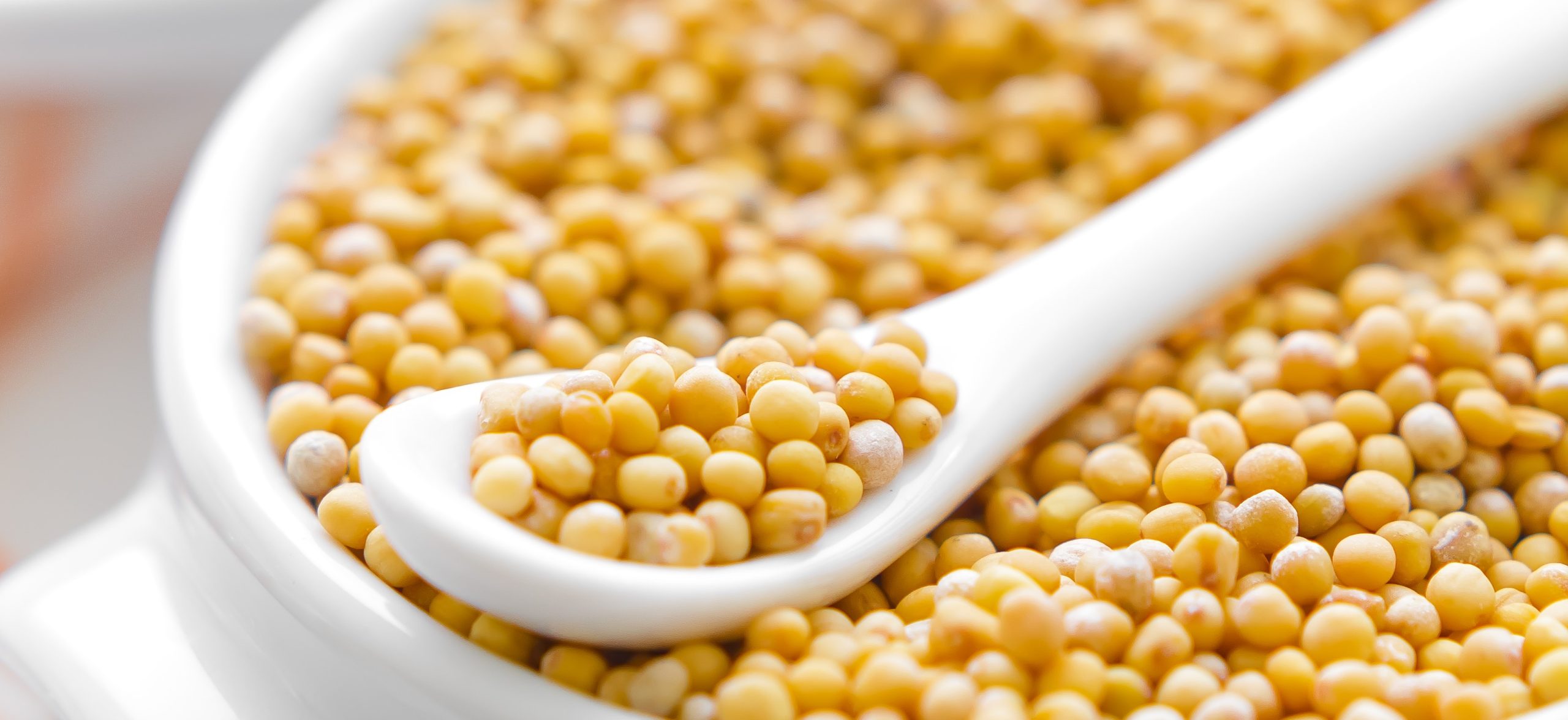 Mustard seeds -iss_11071_03003 – Copy
