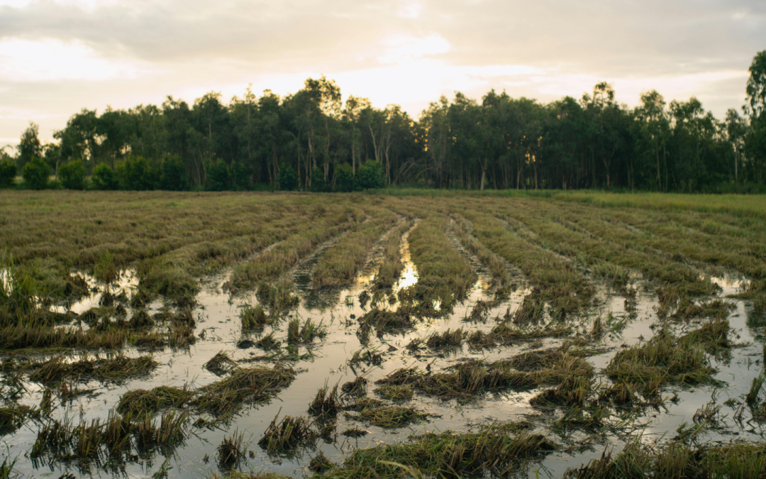 NFU calls for long-term flooding plan after “incredibly difficult harvest”