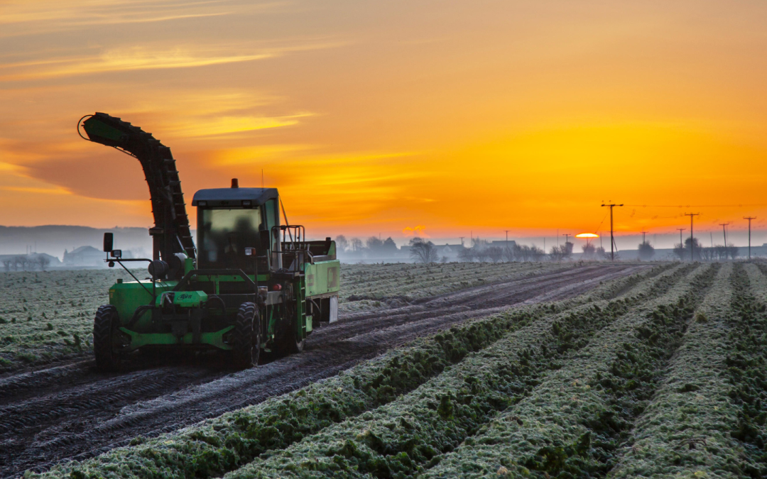 Foodservice fresh produce delivery impacted by weather and global events