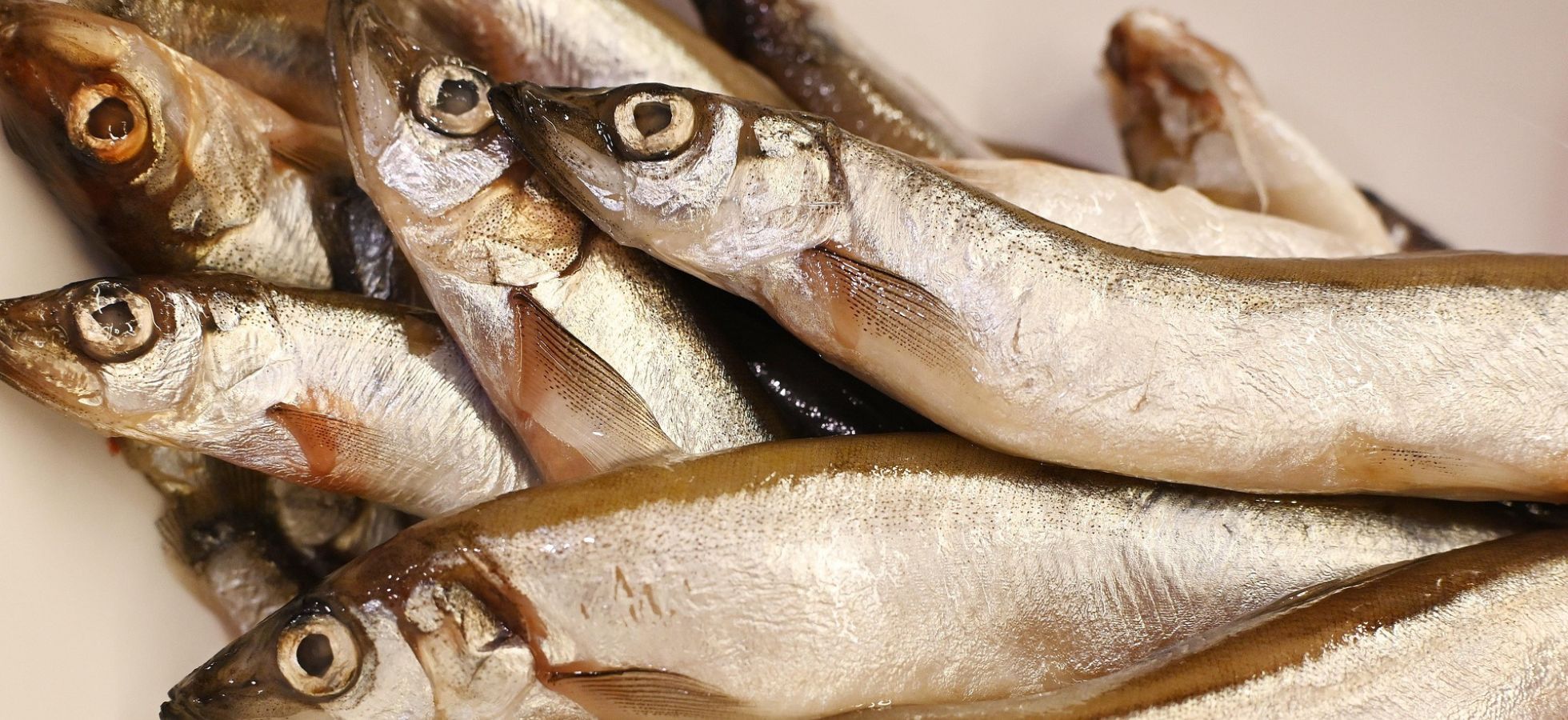 UK and Faroe Islands fishing agreement (1)