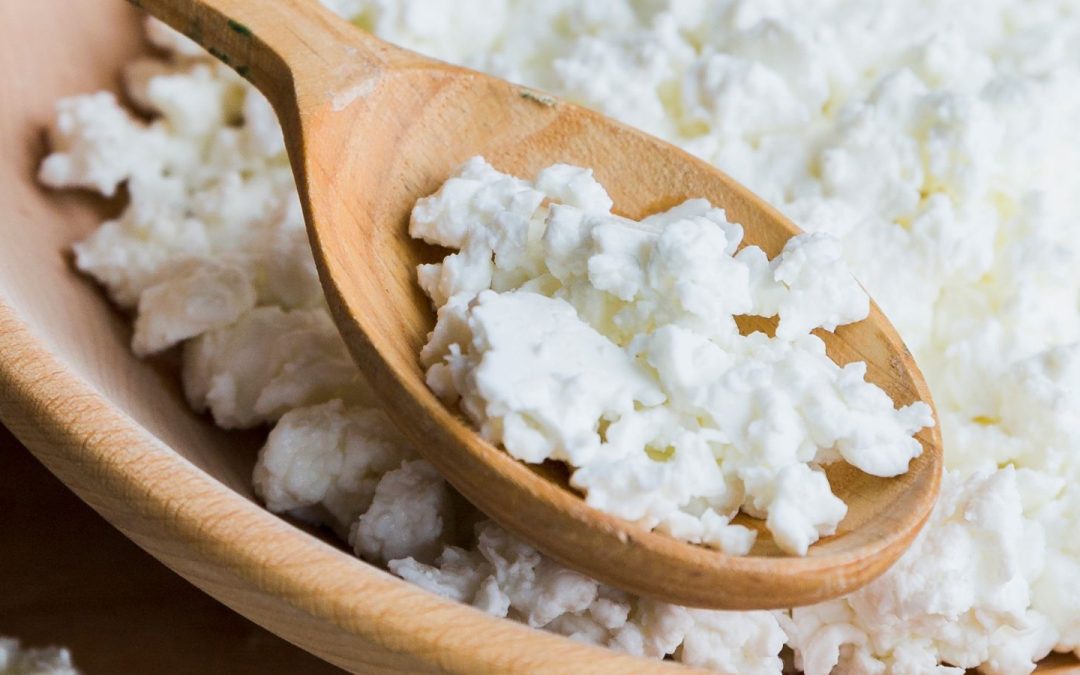 High protein dairy sales up on the year