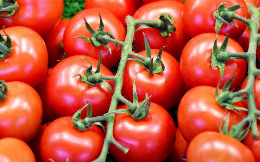Fresh produce EU import checks scrapped ahead of SPS deal