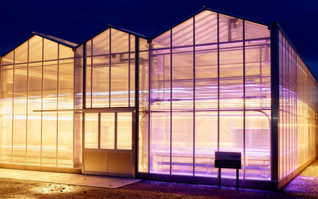 Defra-funded research finds CEA tech brings opportunity