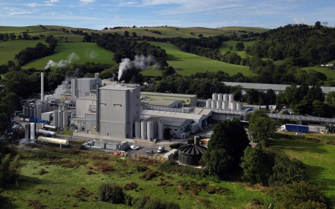 Arla Foods Ingredients acquires Sensient Flavors