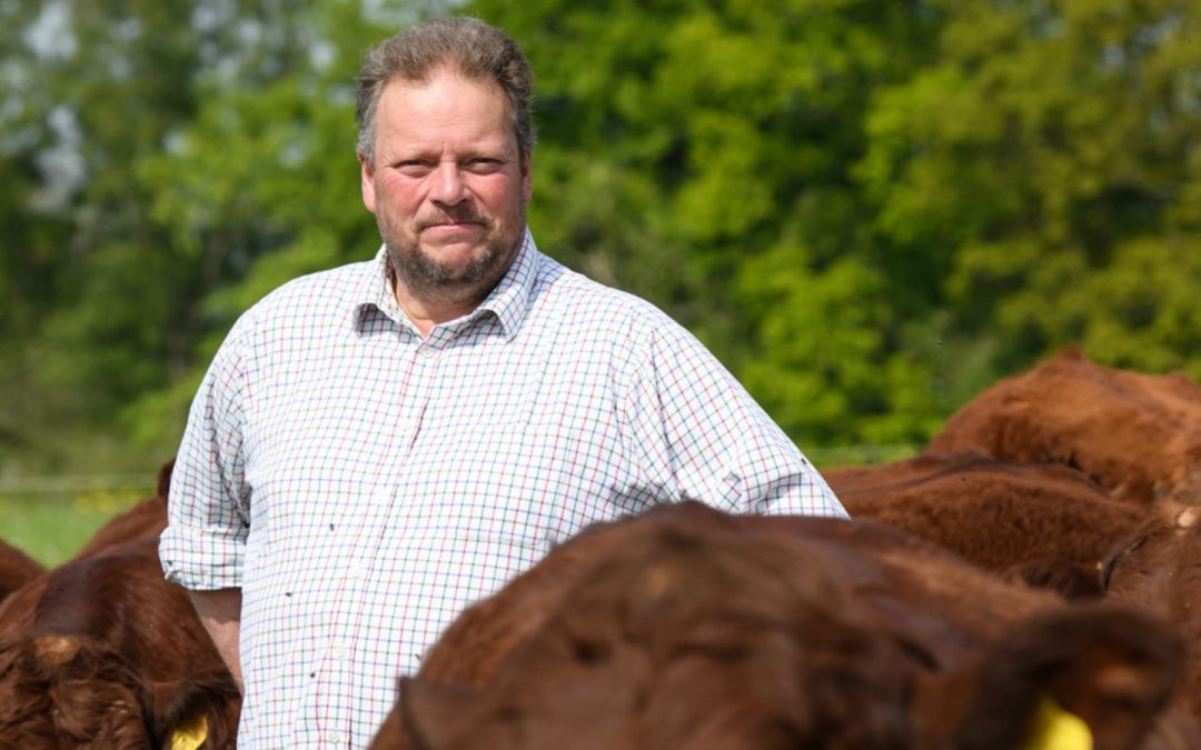 What next for the British livestock sector?