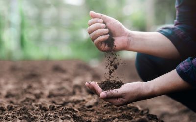 Funding a fifth agricultural revolution