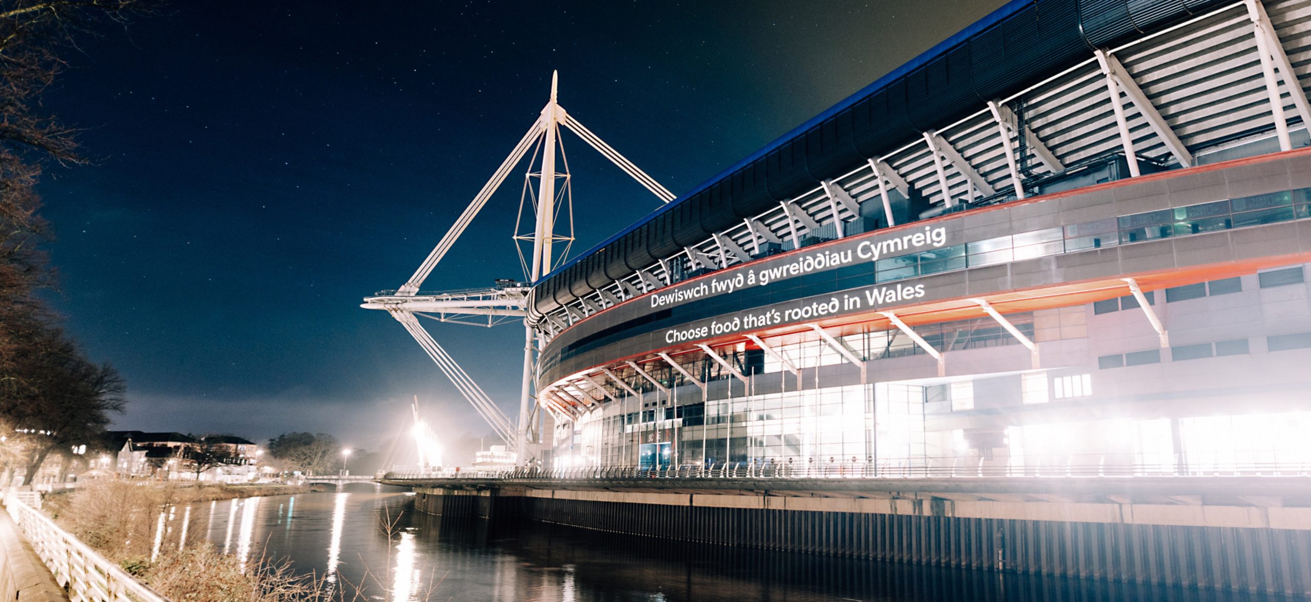 Rooted in Wales