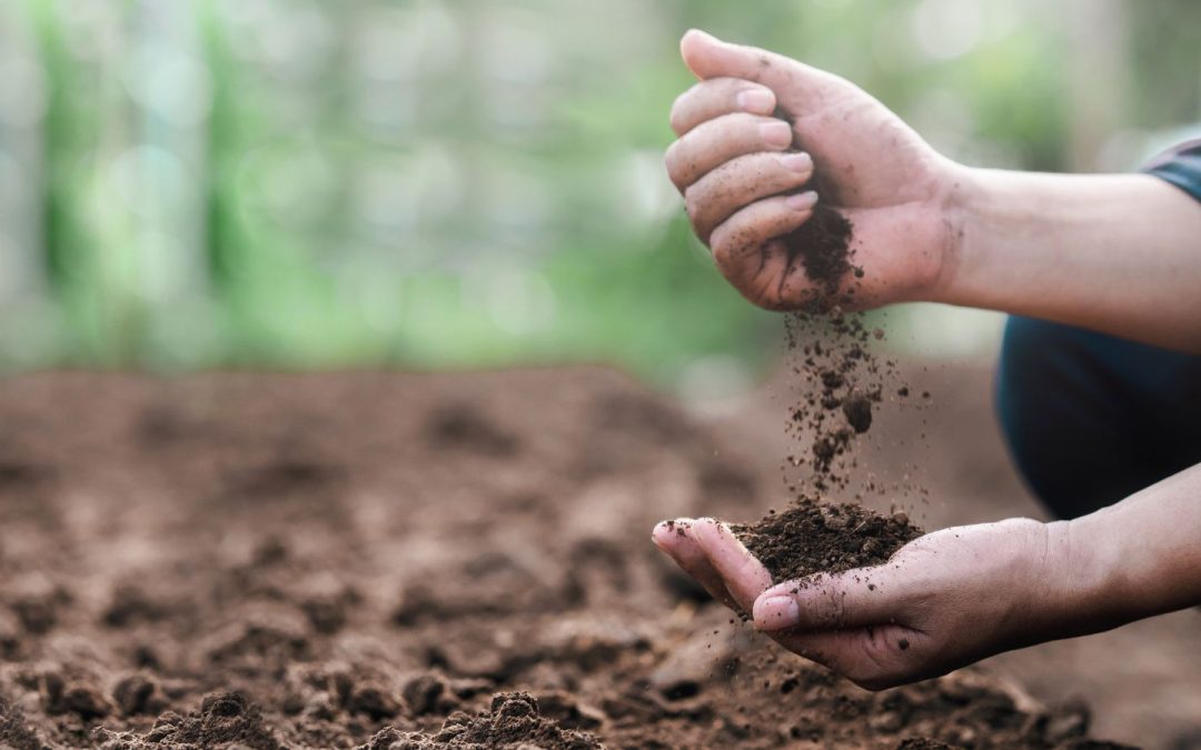 Funding a fifth agricultural revolution