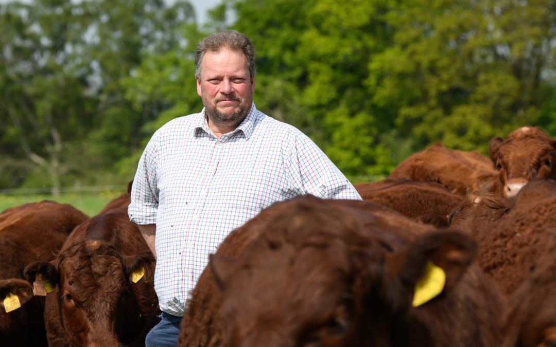 What next for the British livestock sector?